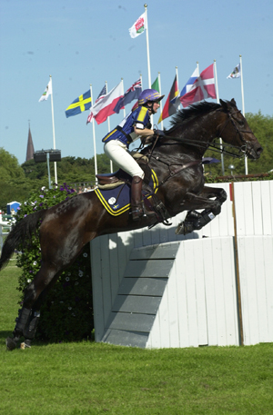 Malmö City Horse Show